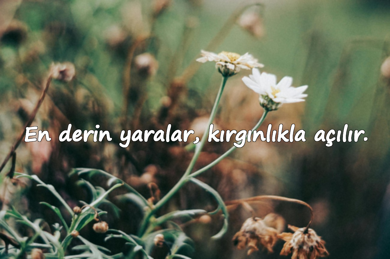 En derin yaralar, kırgınlıkla açılır.