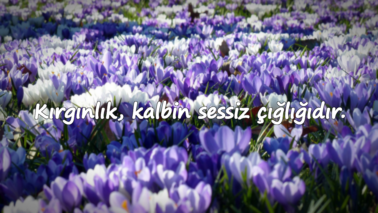 Kırgınlık, kalbin sessiz çığlığıdır.
