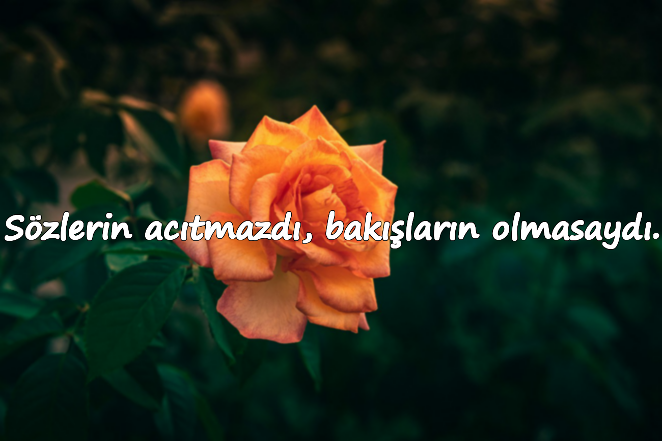 Sözlerin acıtmazdı, bakışların olmasaydı.