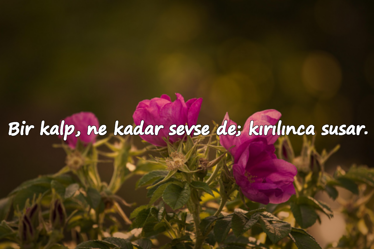 Bir kalp, ne kadar sevse de; kırılınca susar.
