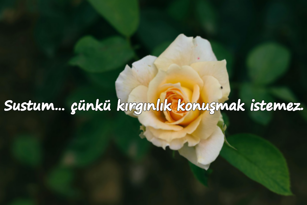 Sustum… çünkü kırgınlık konuşmak istemez.