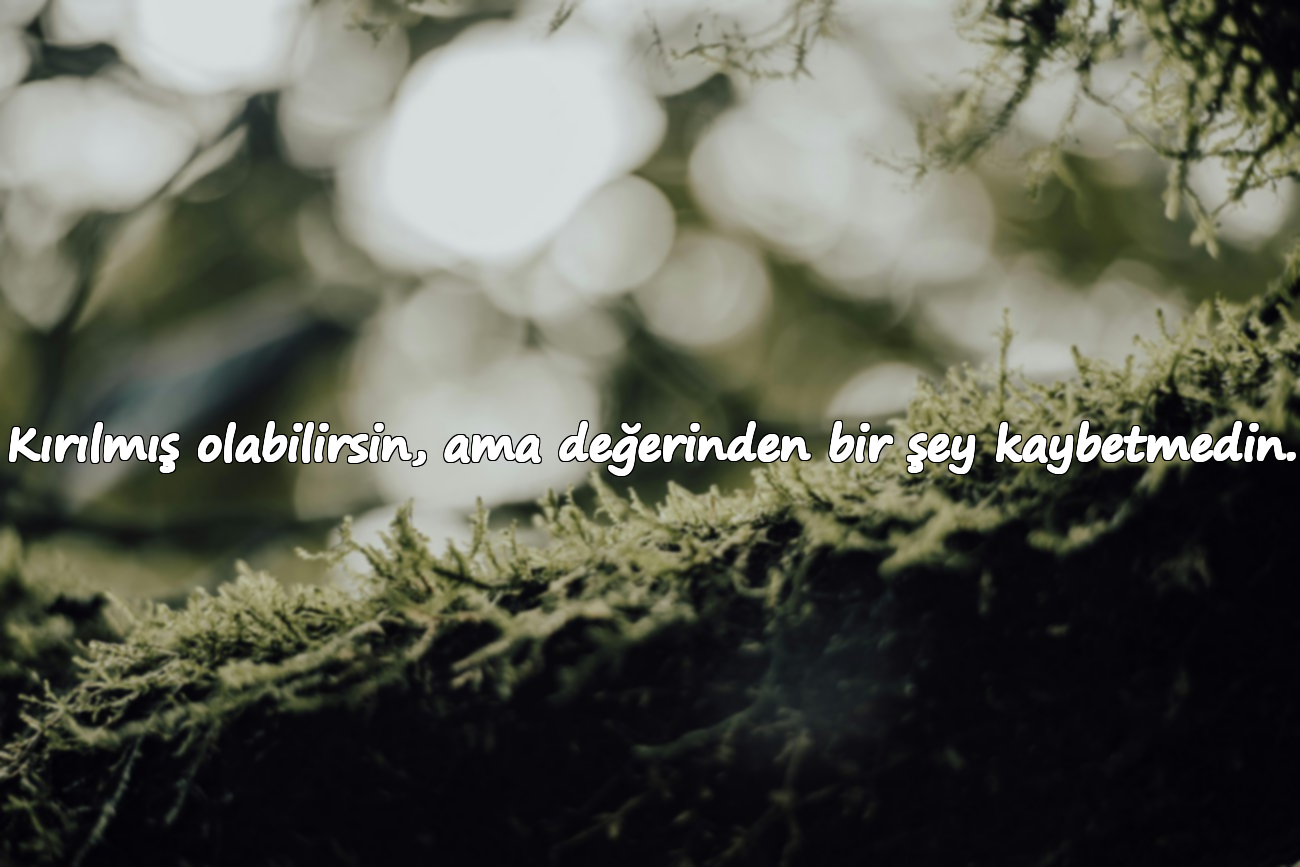 Kırılmış olabilirsin, ama değerinden bir şey kaybetmedin.
