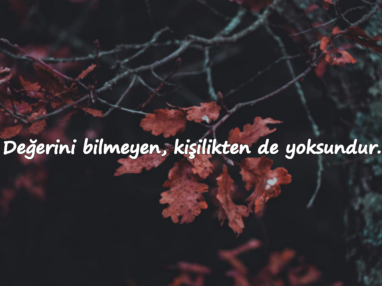 Değerini bilmeyen, kişilikten de yoksundur.