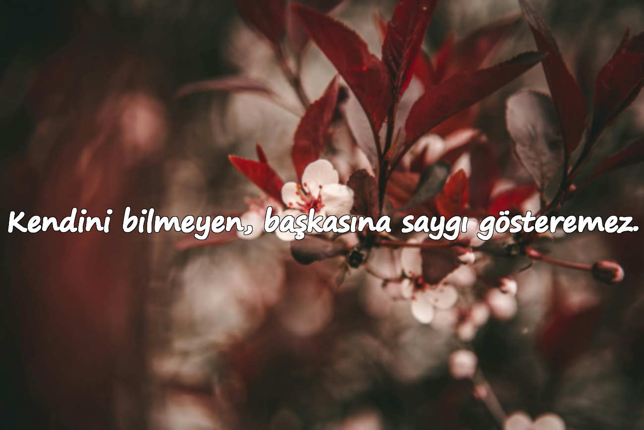 Kendini bilmeyen, başkasına saygı gösteremez.