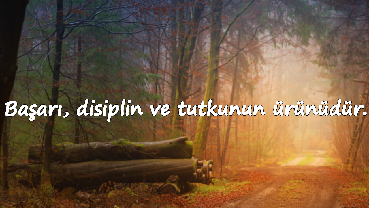 Kişisel Gelişim Sözleri