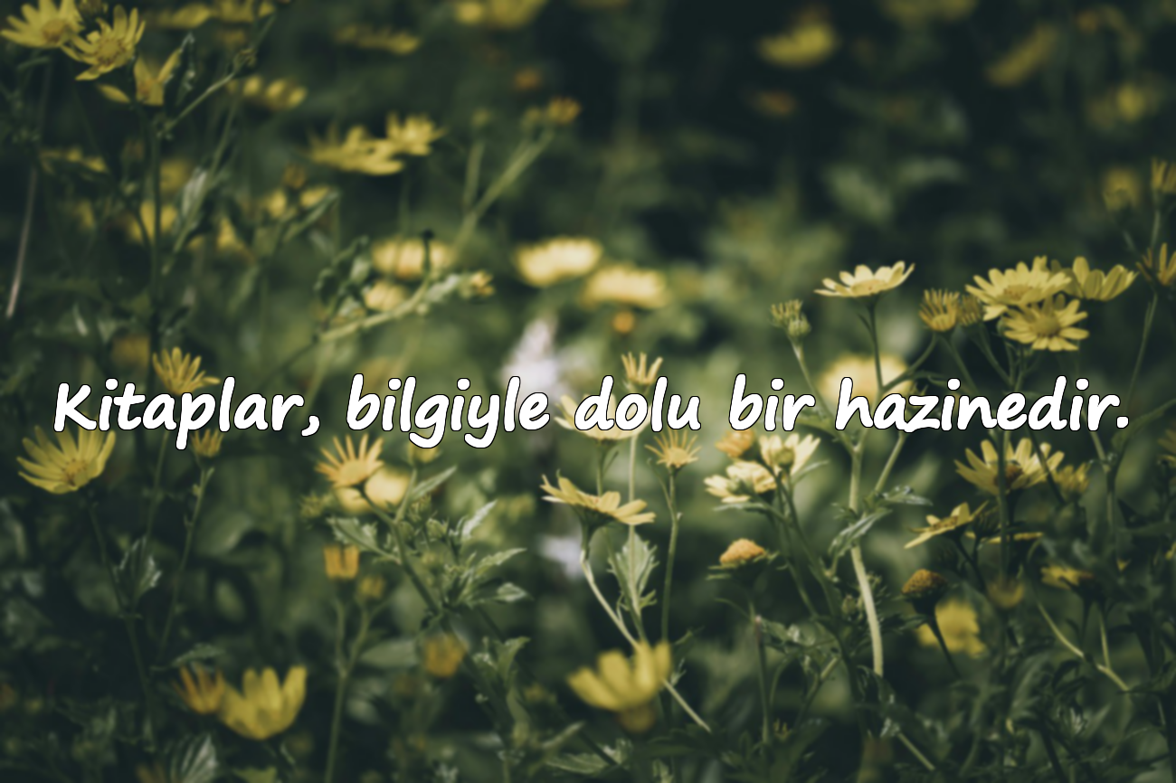 Kitap Okumak ile İlgili Sözler