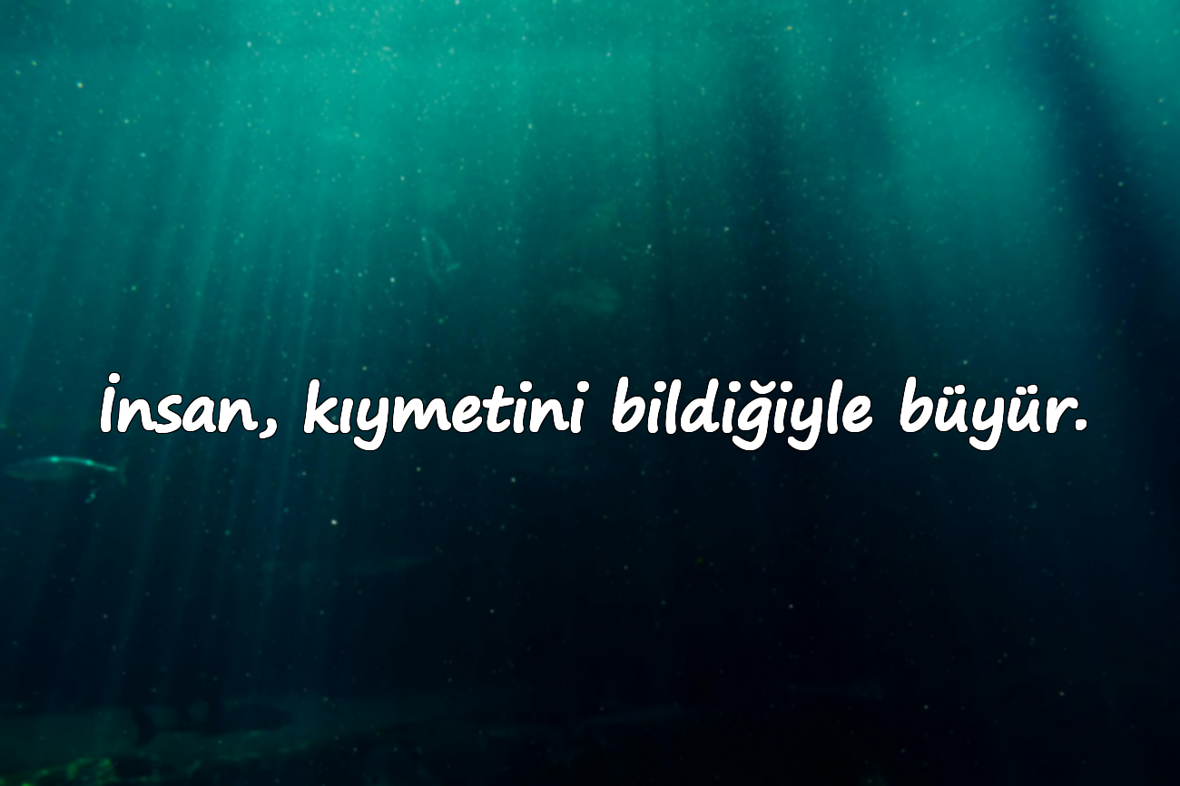 Kıymet Bilmekle İlgili Sözler