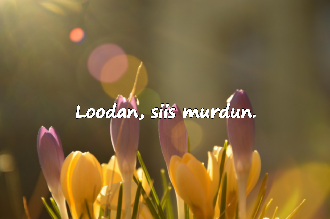 Kurbad tsitaadid
