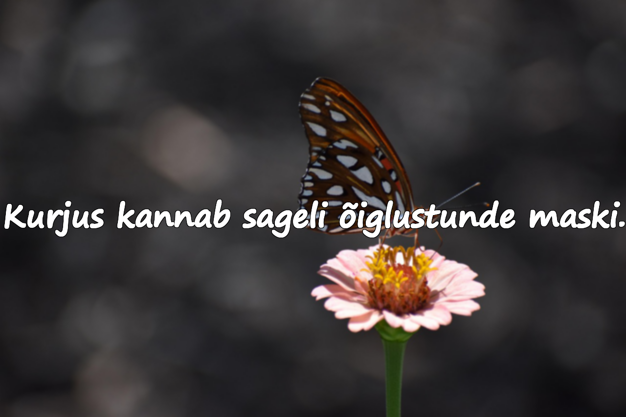 Kurjusest räägivad tsitaadid