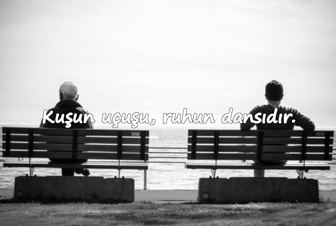 Kuşun uçuşu, ruhun dansıdır.