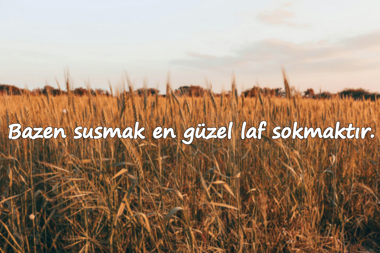 Bazen susmak en güzel laf sokmaktır.