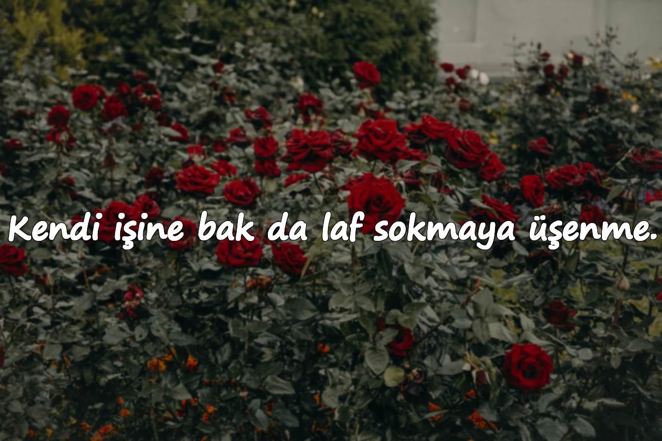 Kendi işine bak da laf sokmaya üşenme.