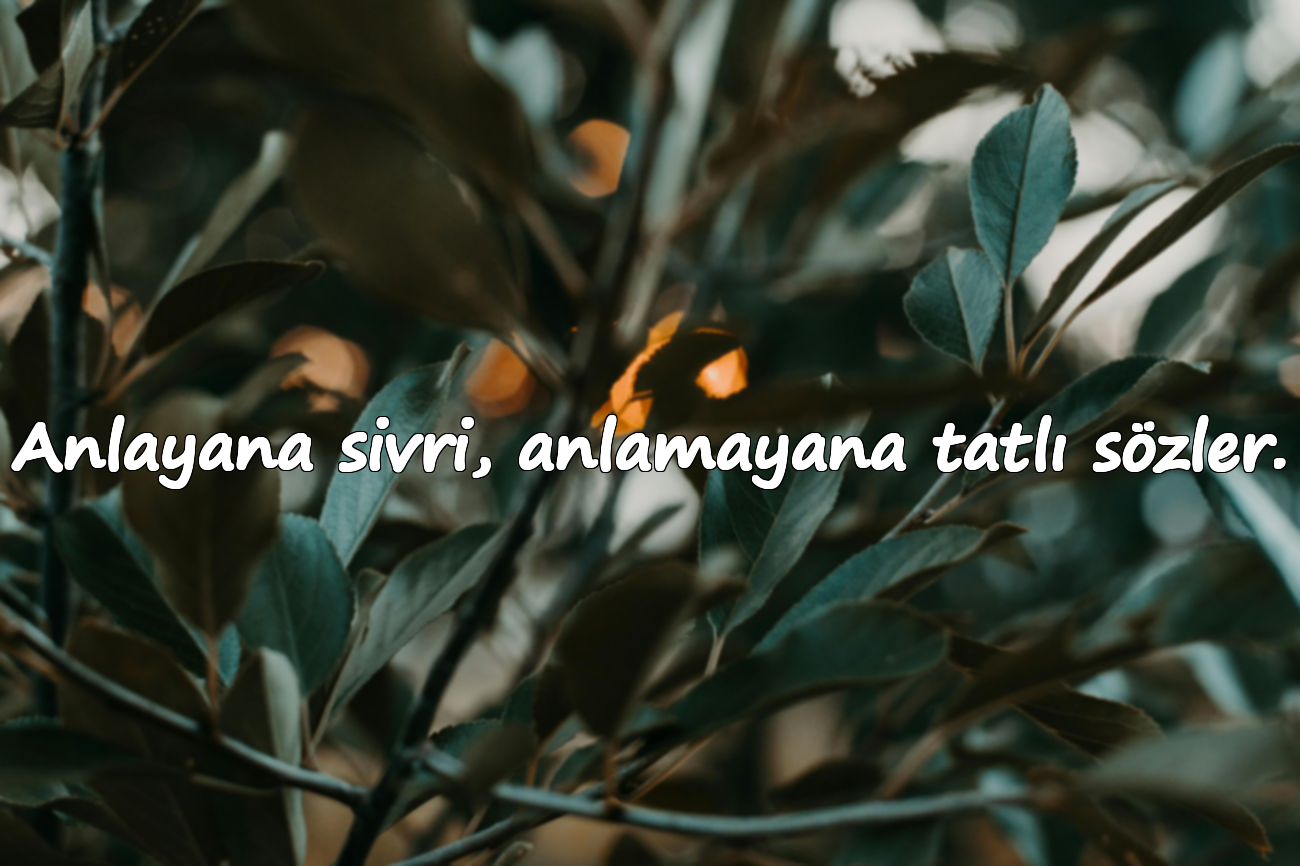 Anlayana sivri, anlamayana tatlı sözler.