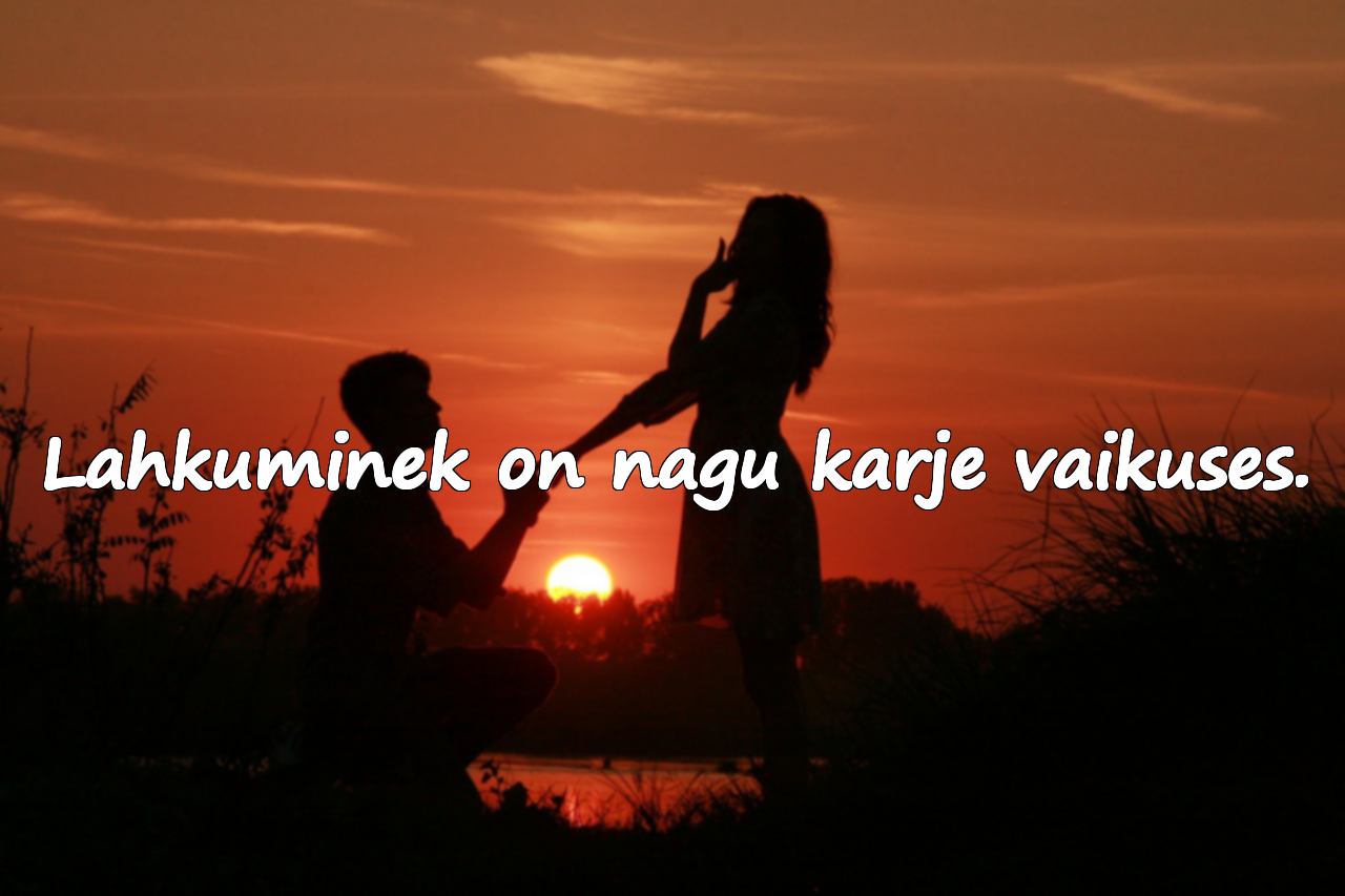 Lahkumineku tsitaadid