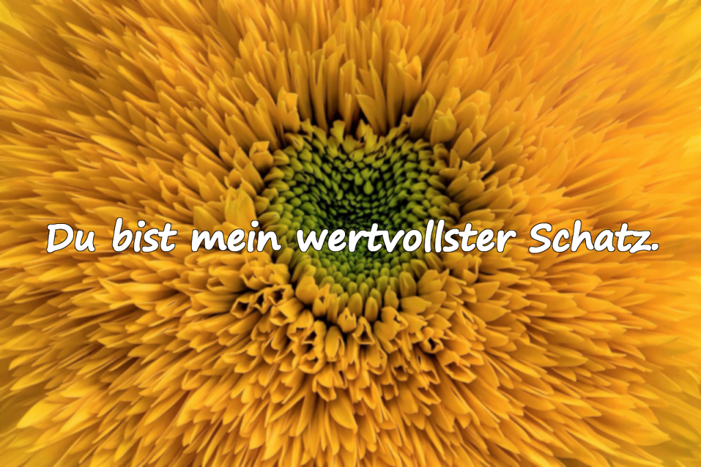 Liebe- und Valentinstagszitate