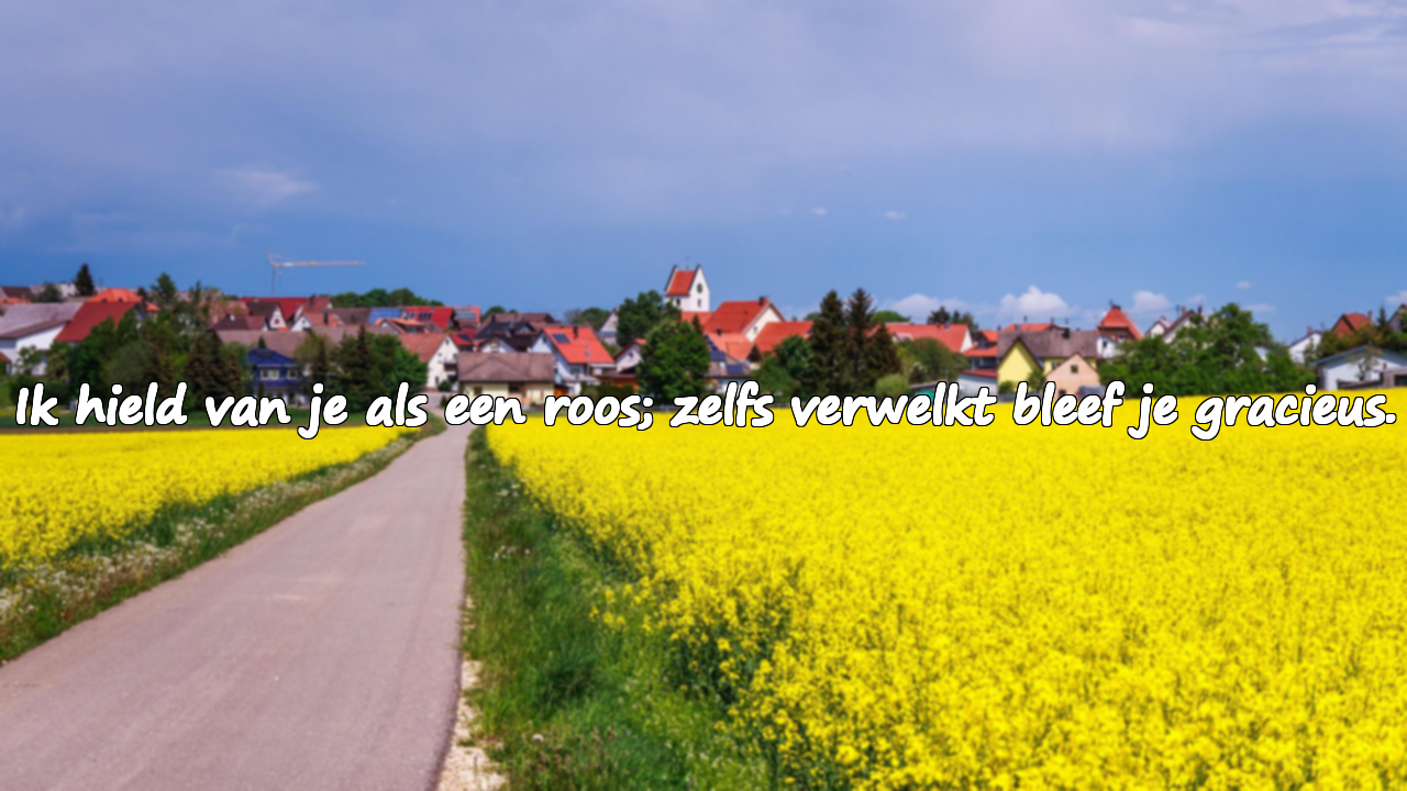 Liefdescitaten Geïnspireerd door de Roos