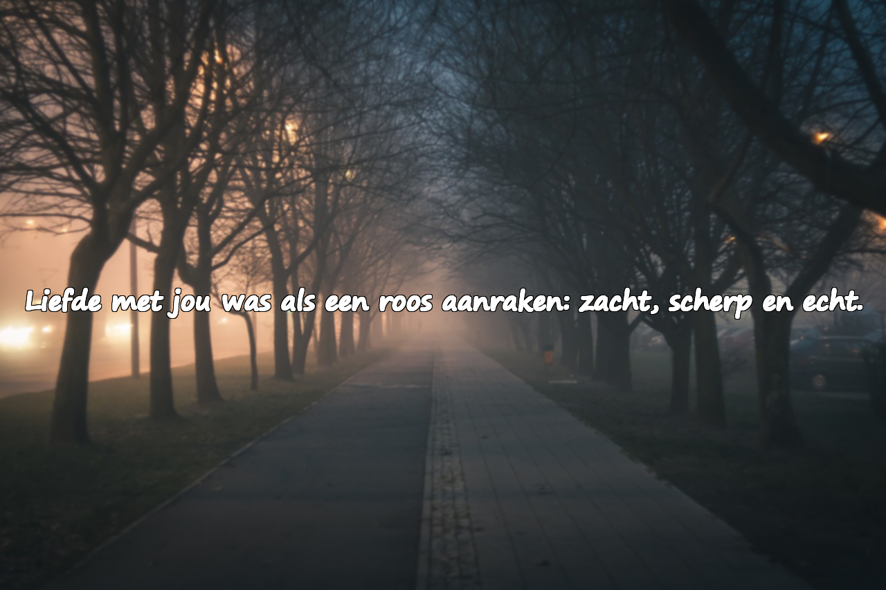 Liefdescitaten Geïnspireerd door de Roos