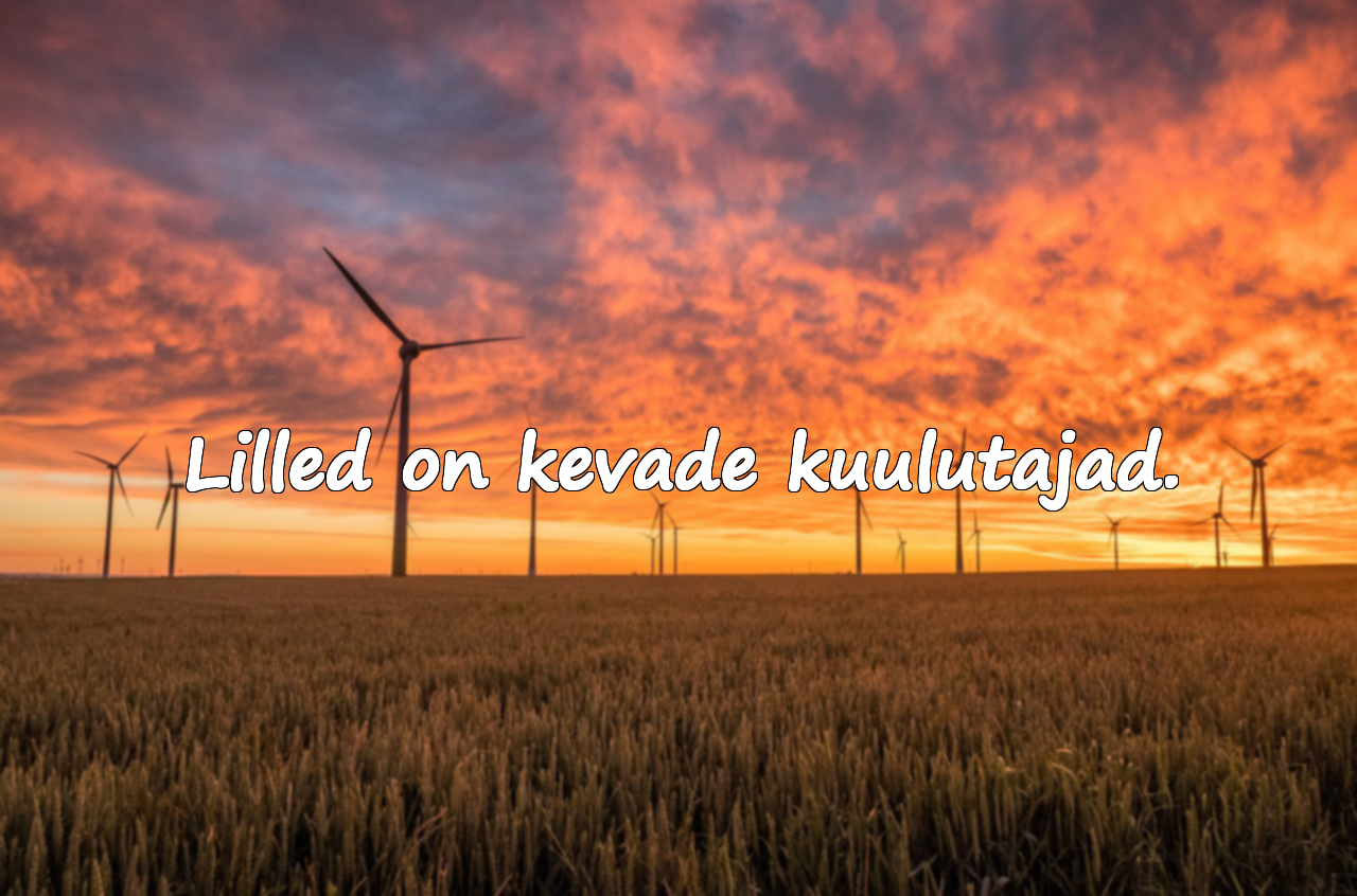 Lilledest Ütlused