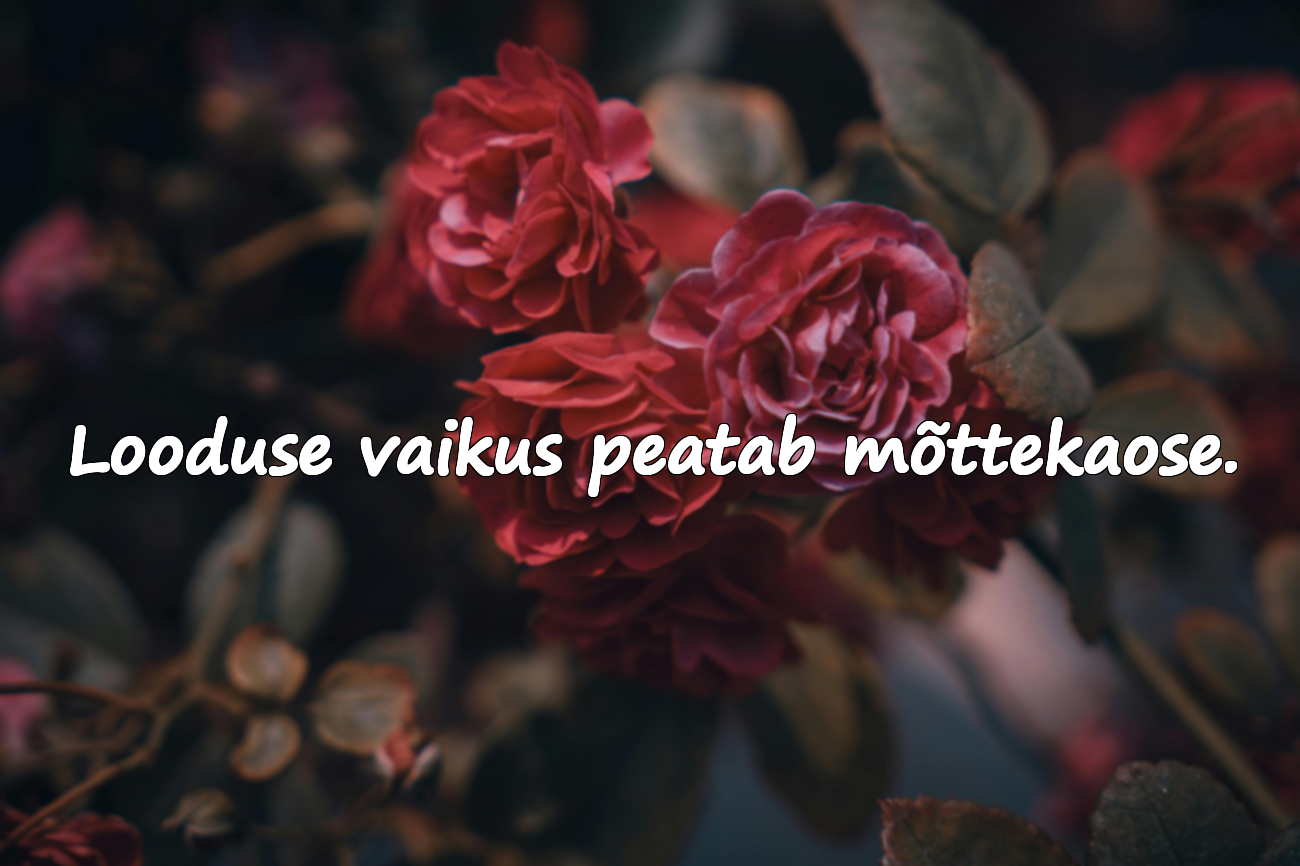 Loodusega seotud mõtted