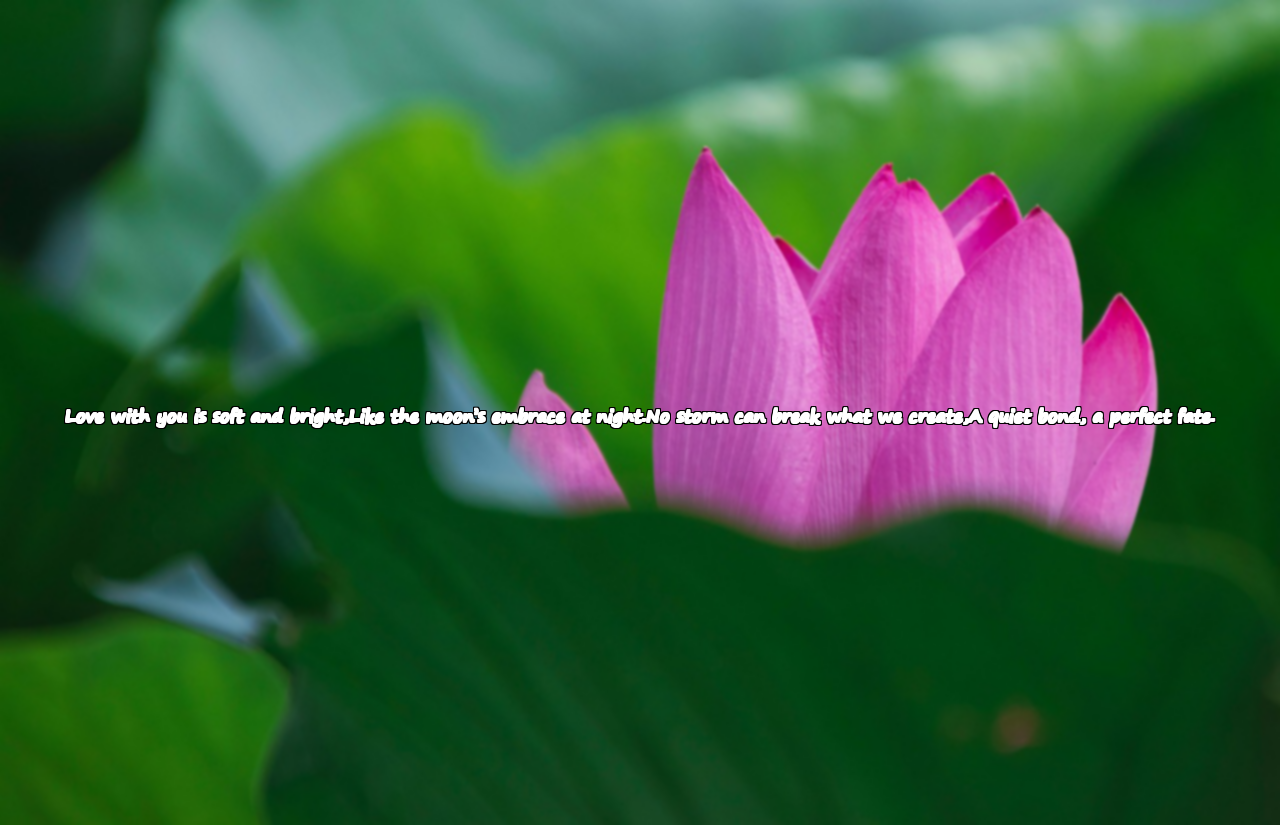 Love Poems for My Beloved