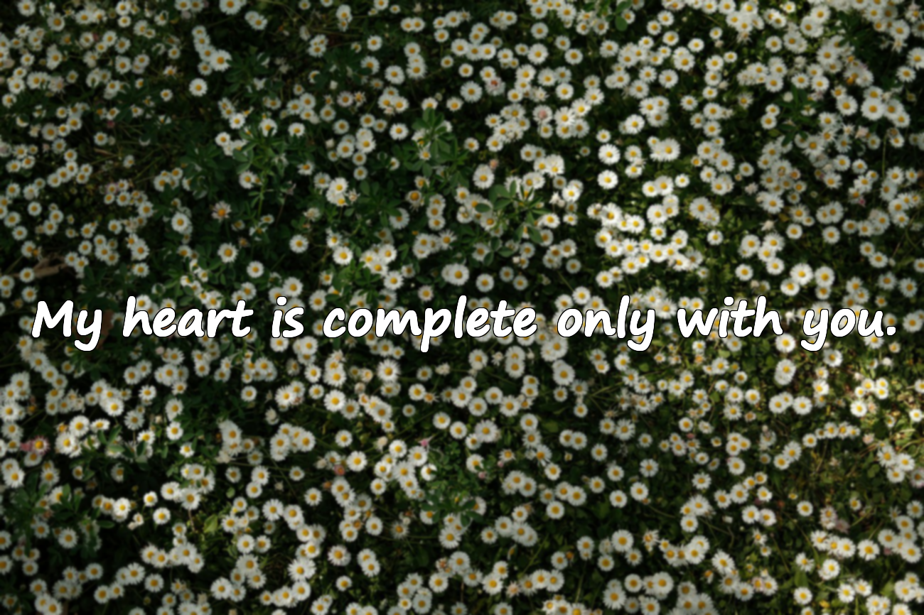 Love Quotes for Lover