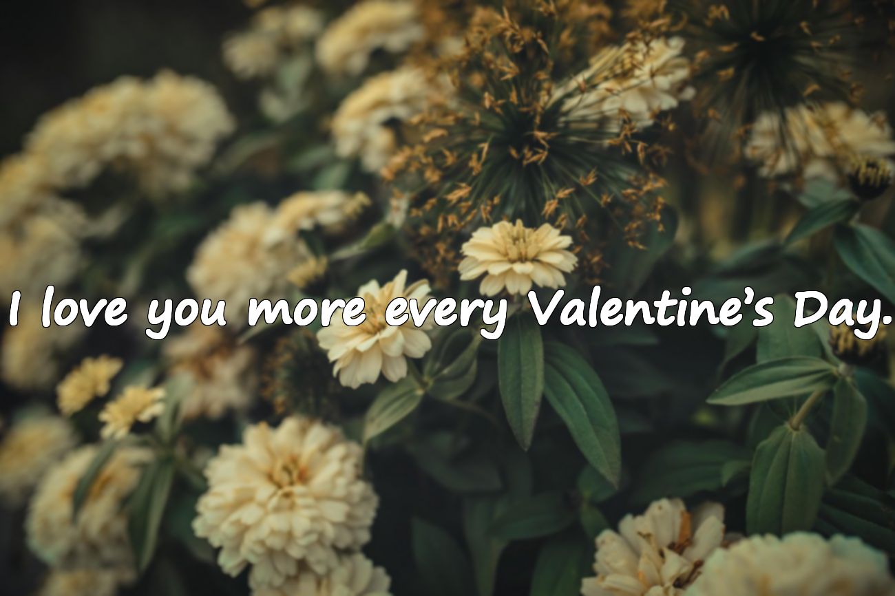 Love and Valentine's Day Quotes