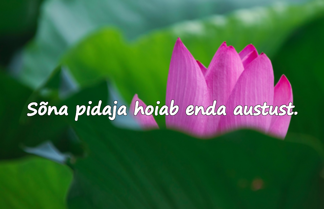 Lubaduste kohta tsitaadid