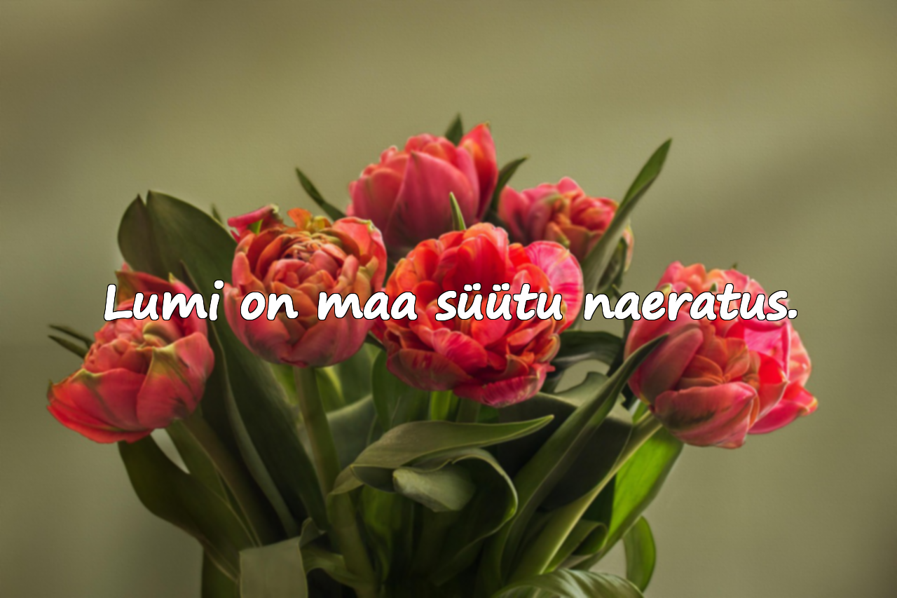 Lumi puudutavad mõtted