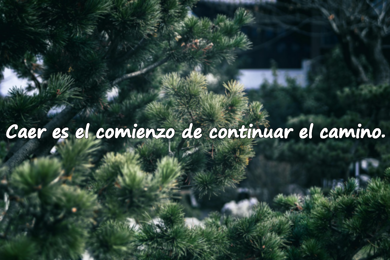 Más frases sobre caer