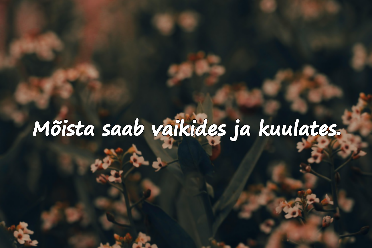 Mõistmise kohta ütlemised