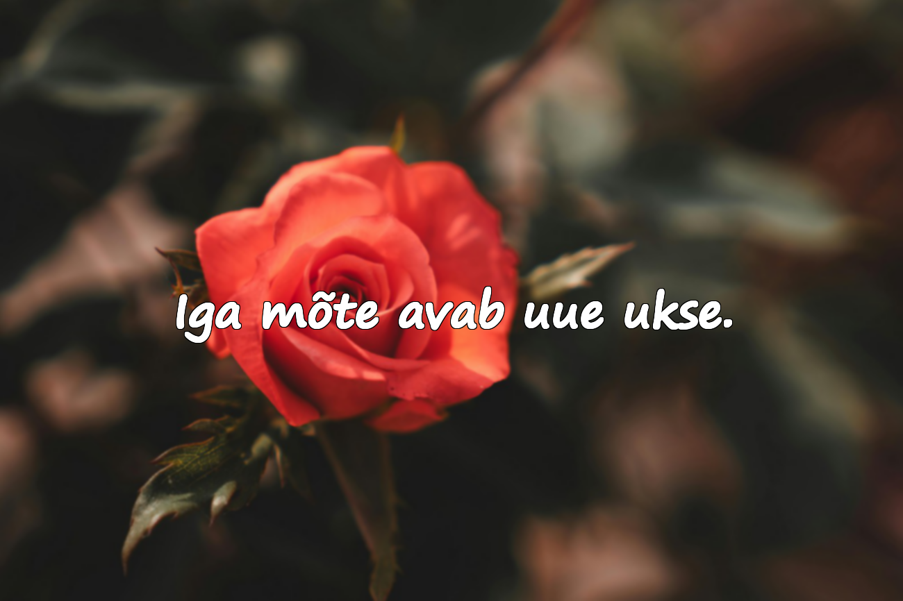 Iga mõte avab uue ukse.