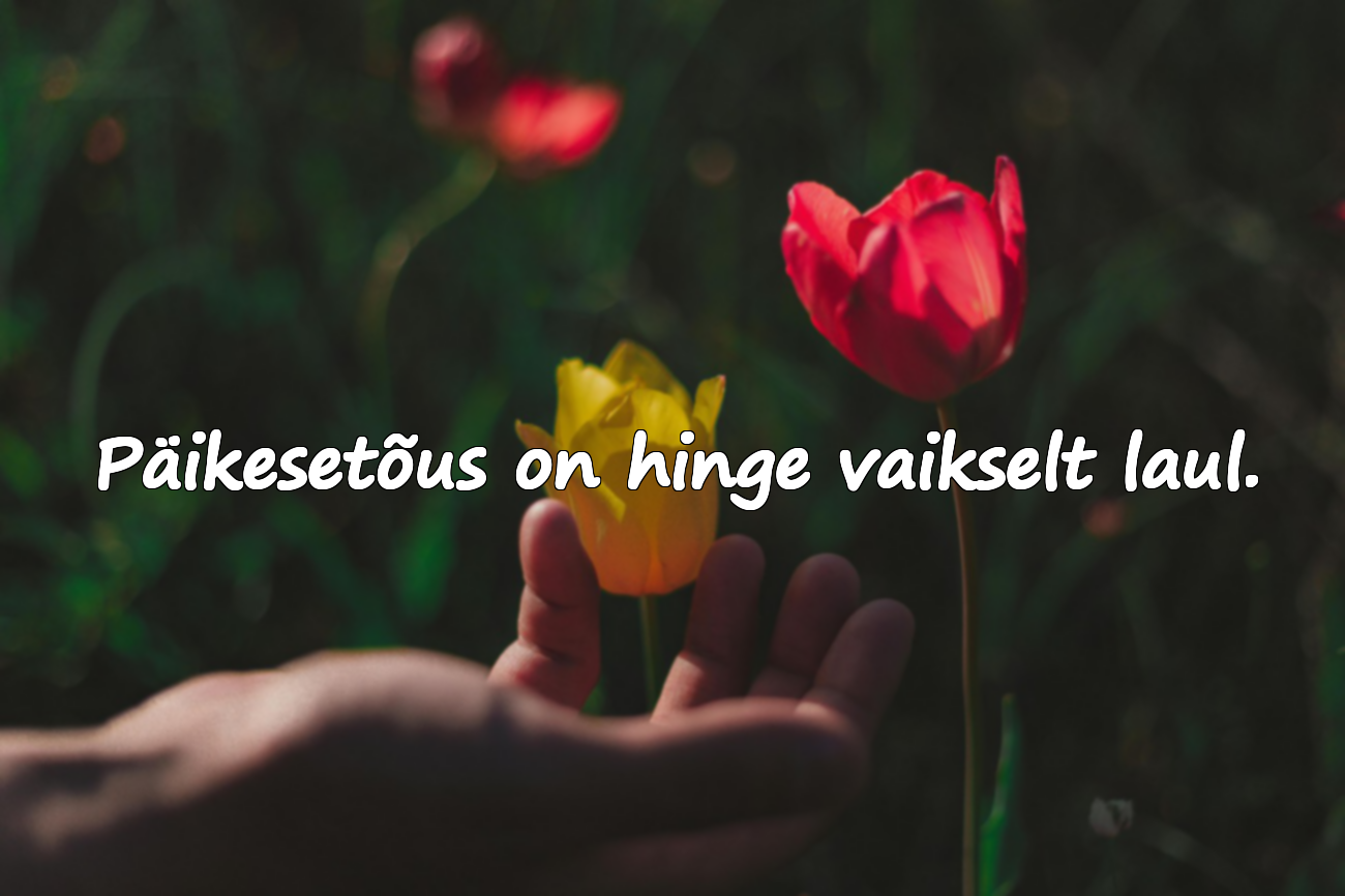 Mõtted päikesetõusu kohta