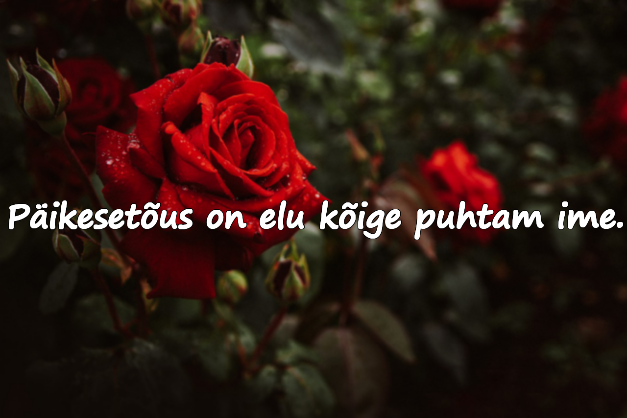 Mõtted päikesetõusu kohta