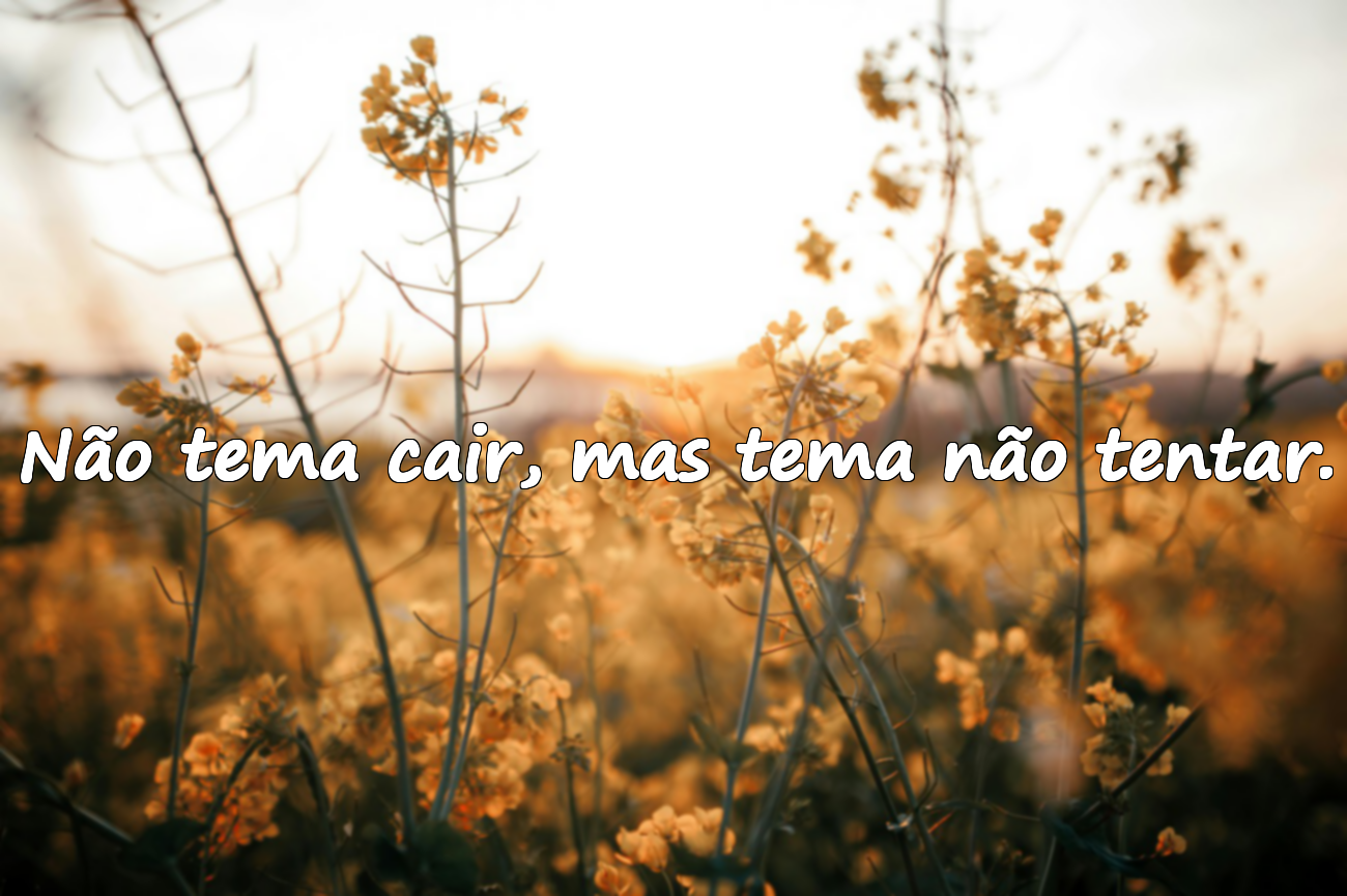 Não tema cair, mas tema não tentar.