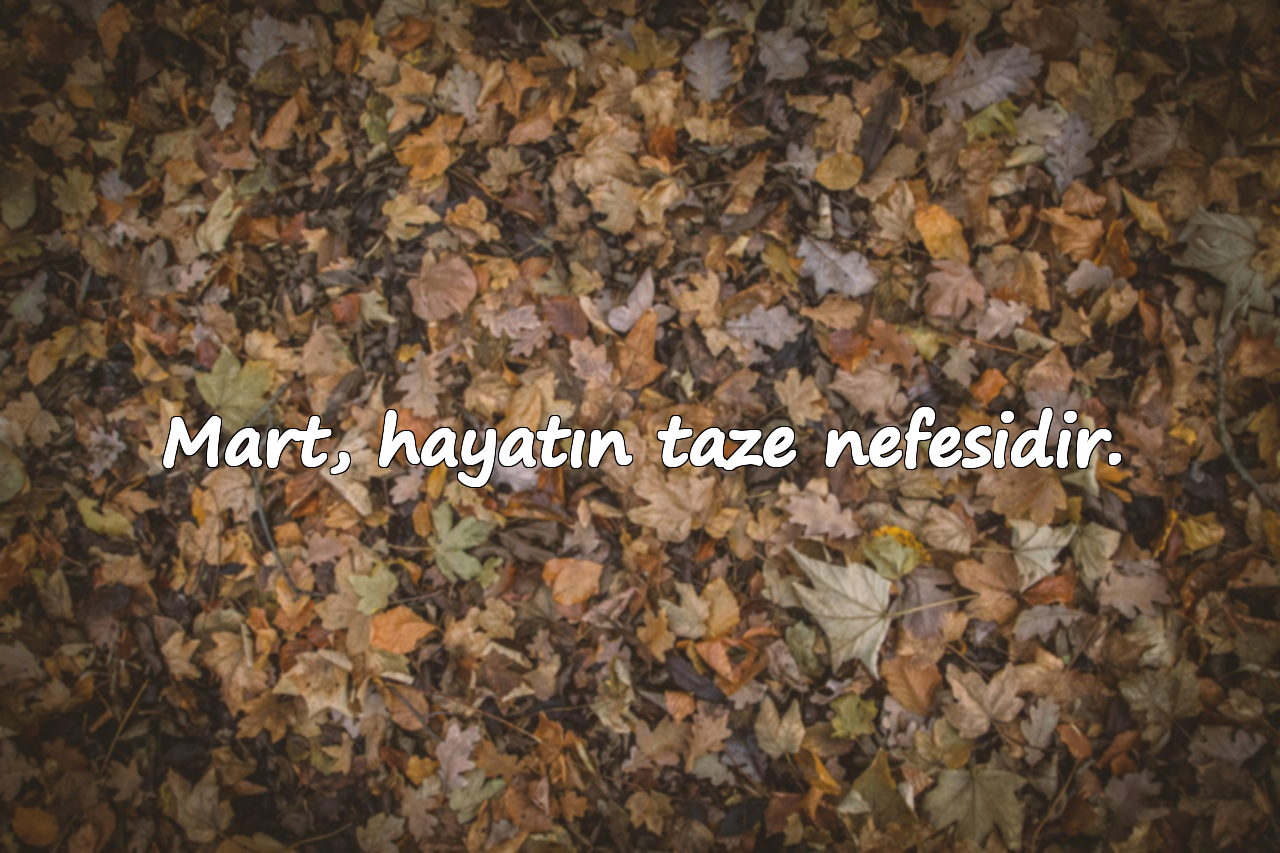 Mart, hayatın taze nefesidir.