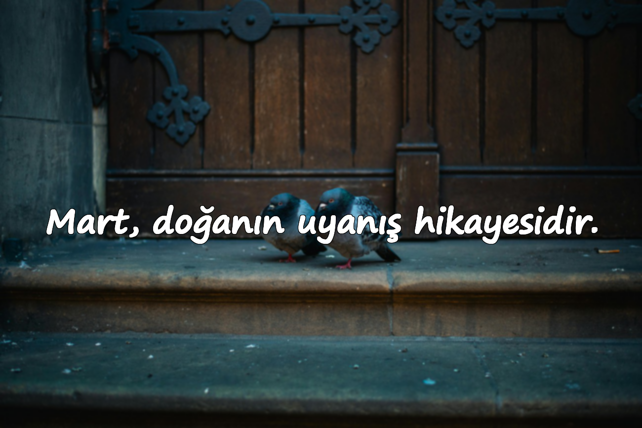 Mart, doğanın uyanış hikayesidir.