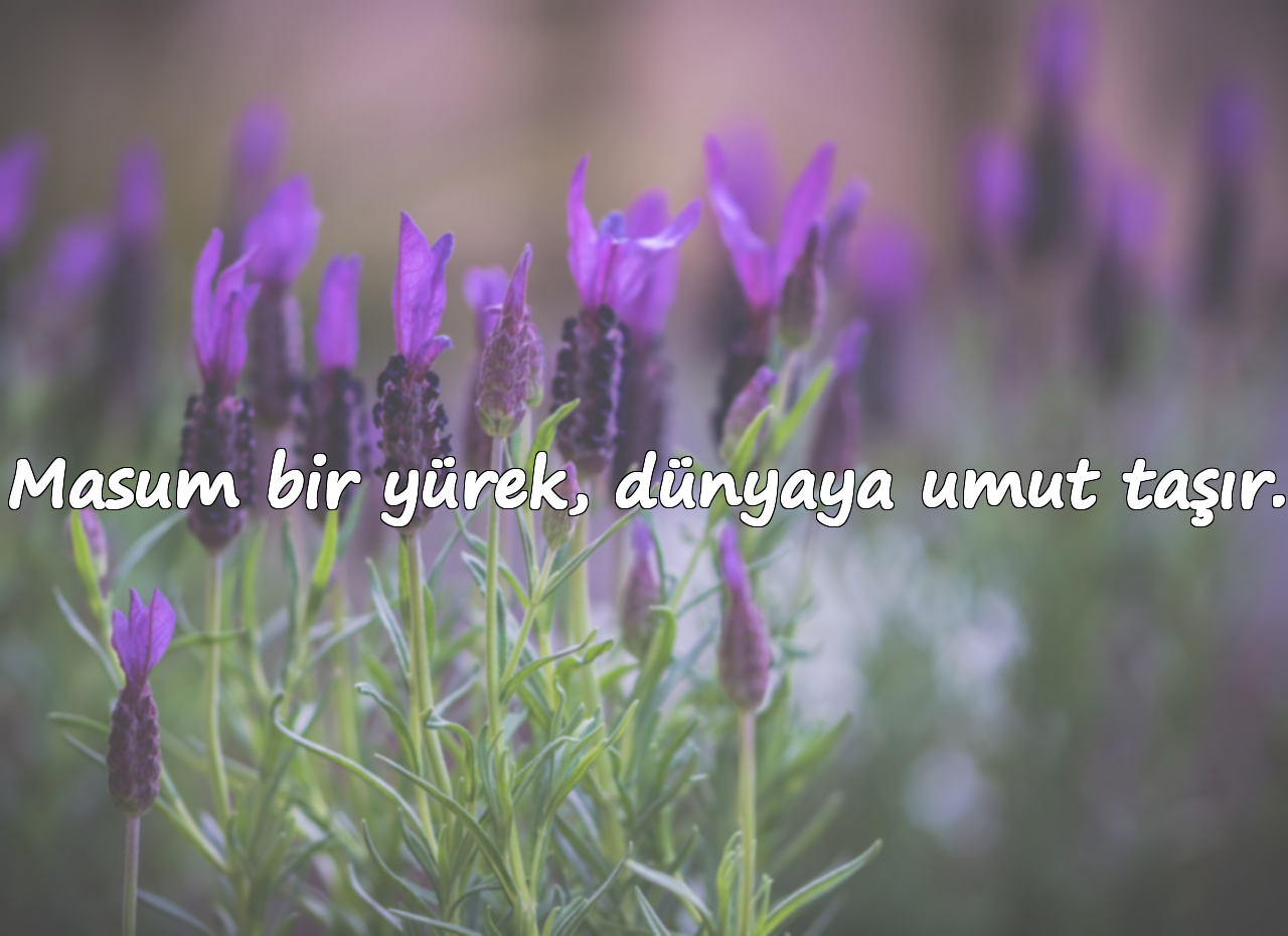 Masum bir yürek, dünyaya umut taşır.