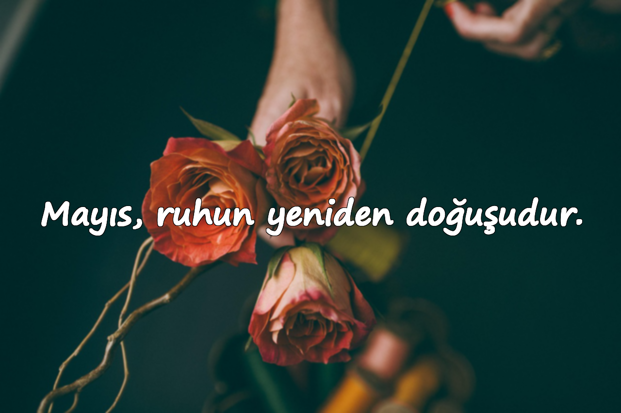 Mayıs, ruhun yeniden doğuşudur.
