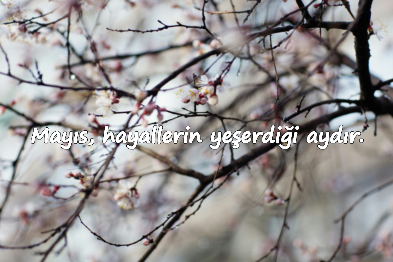 Mayıs, hayallerin yeşerdiği aydır.