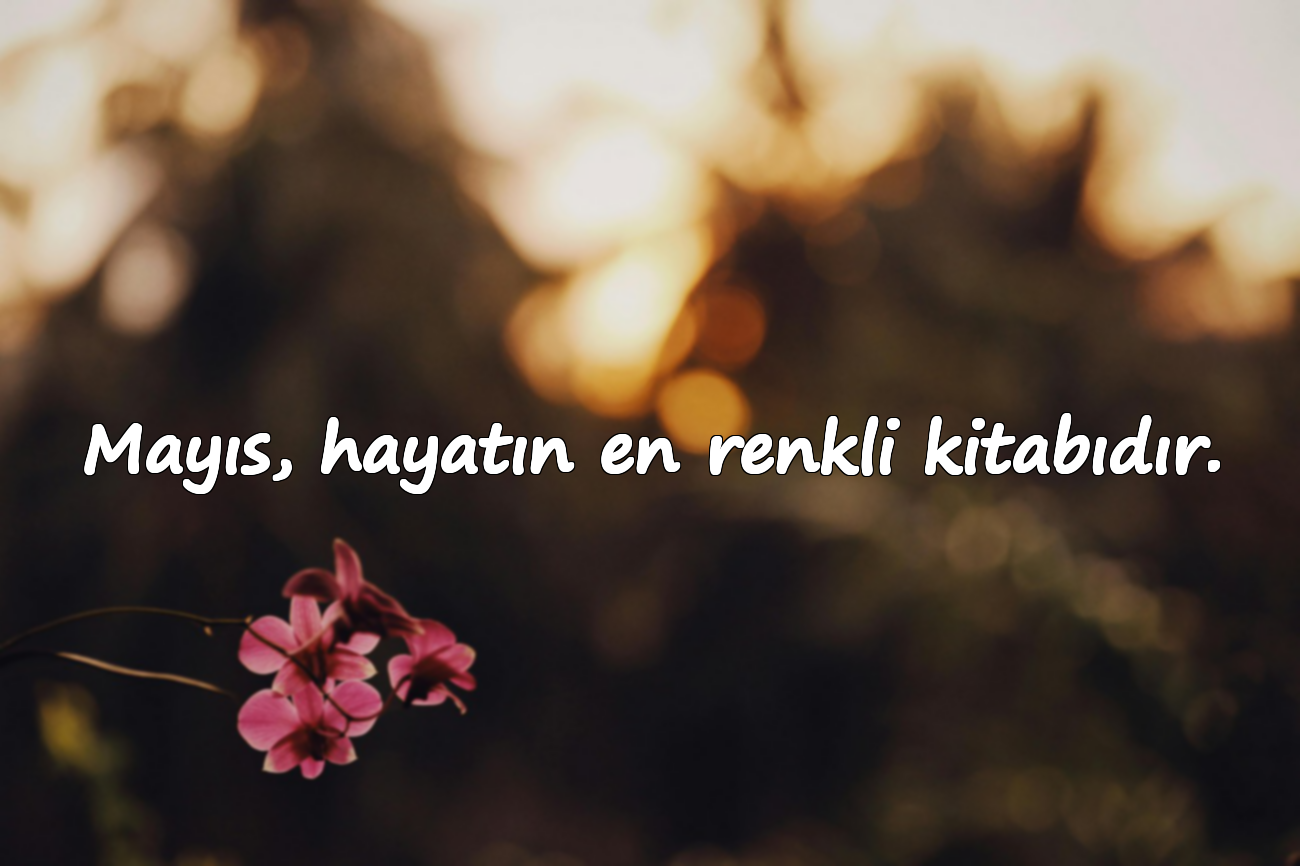 Mayıs, hayatın en renkli kitabıdır.
