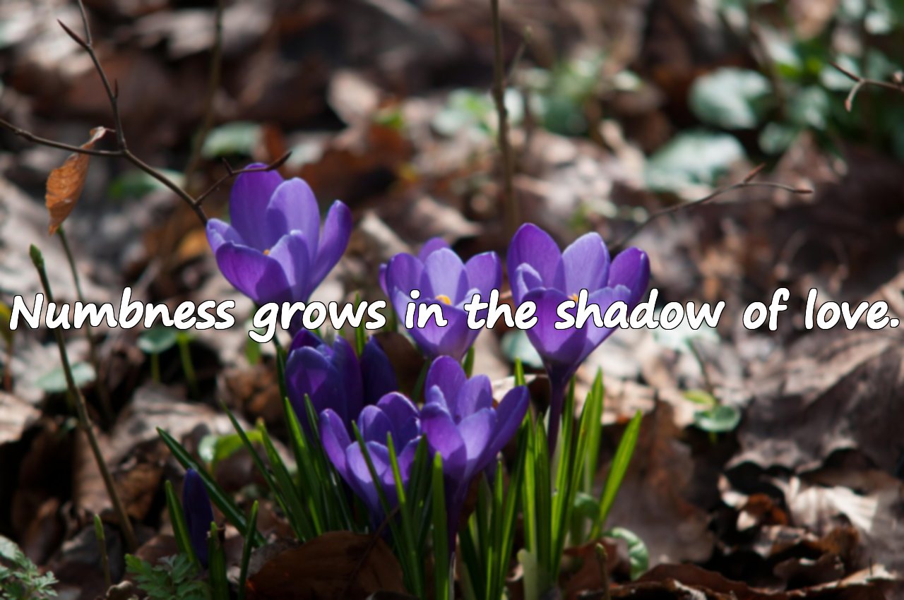 Meaningful Beautiful Quotes About Becoming Numb
