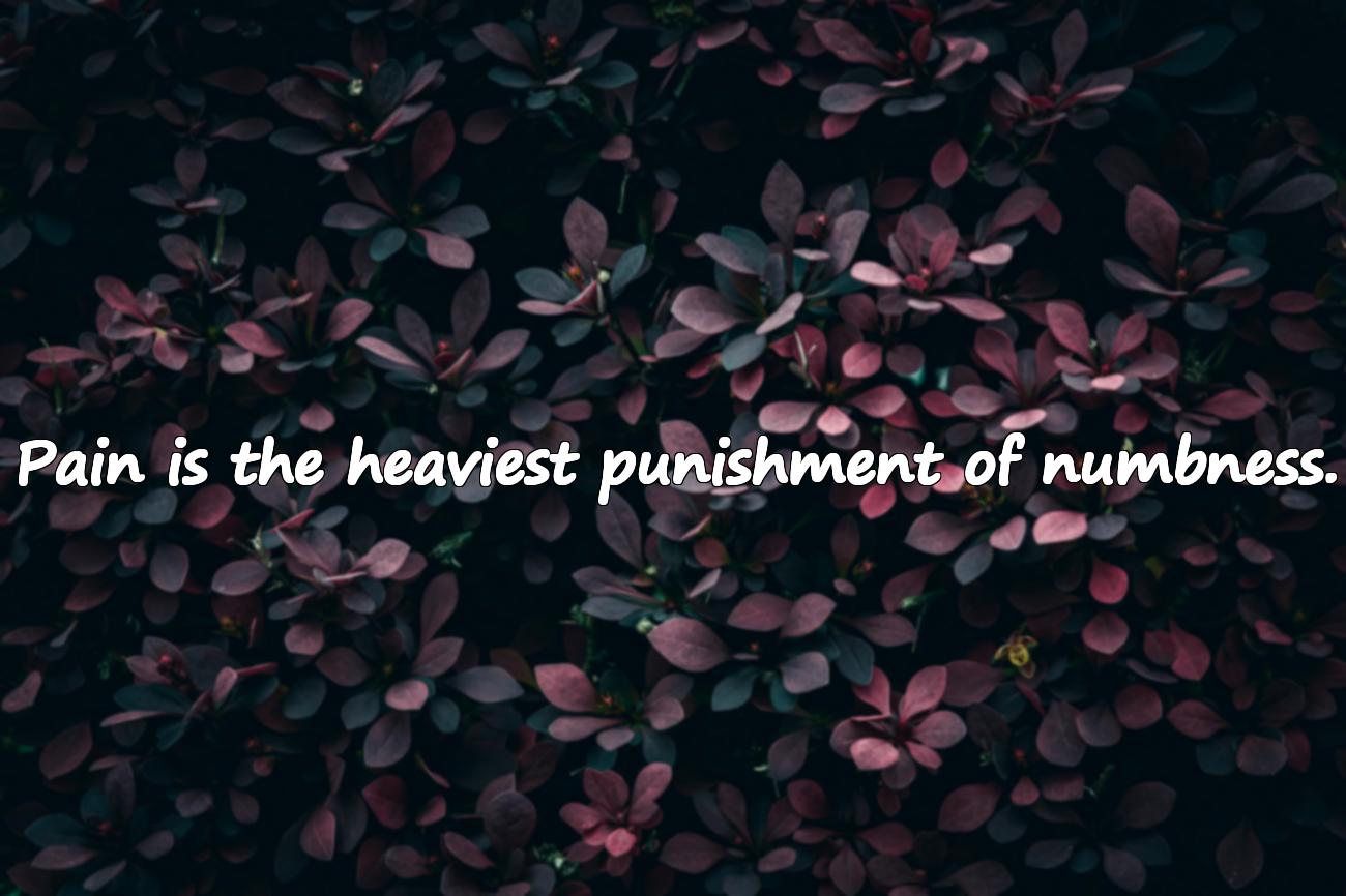 Meaningful Beautiful Quotes About Becoming Numb
