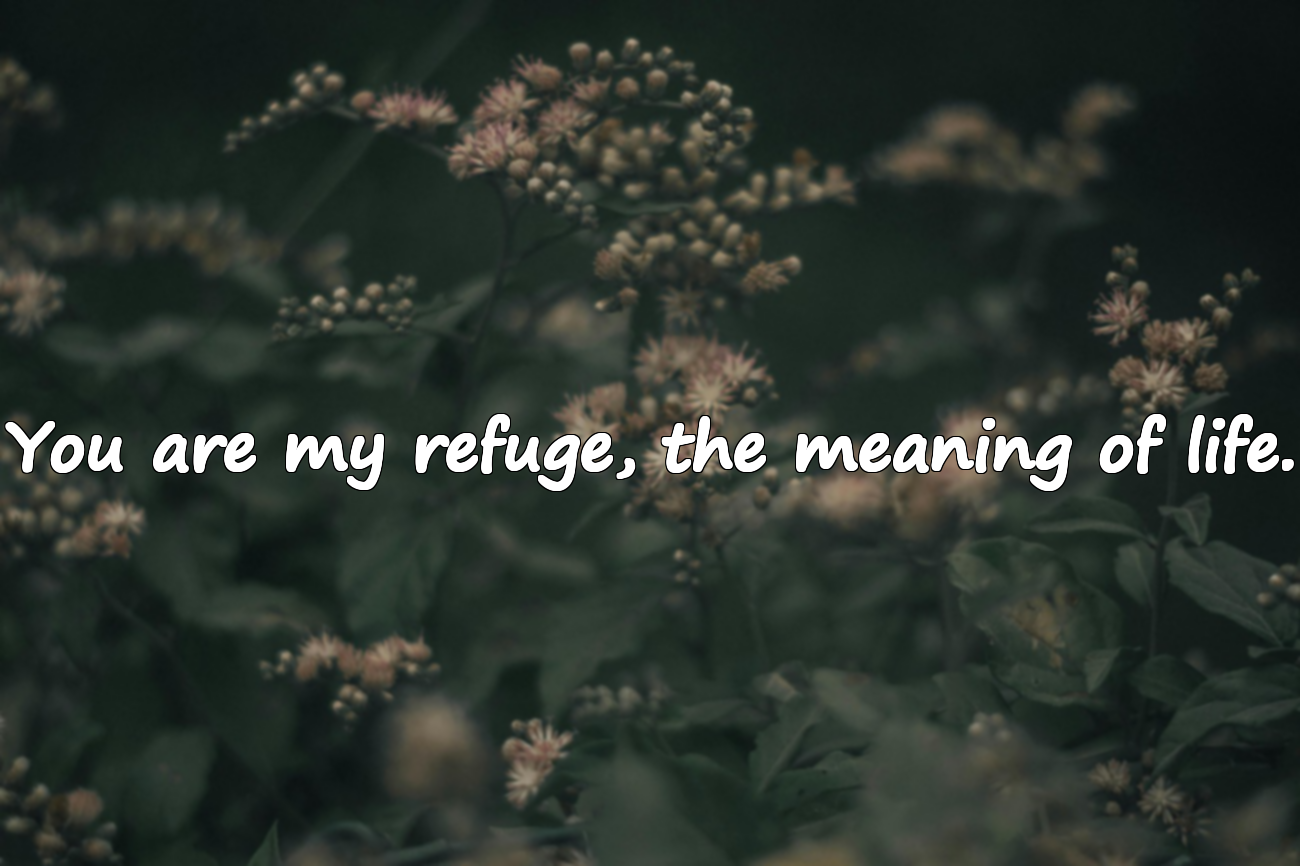 Meaningful Beautiful Words for My Wife