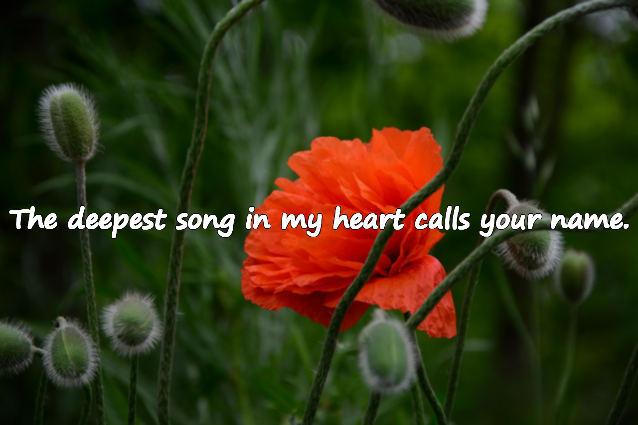 Meaningful Beautiful Words for Spouses