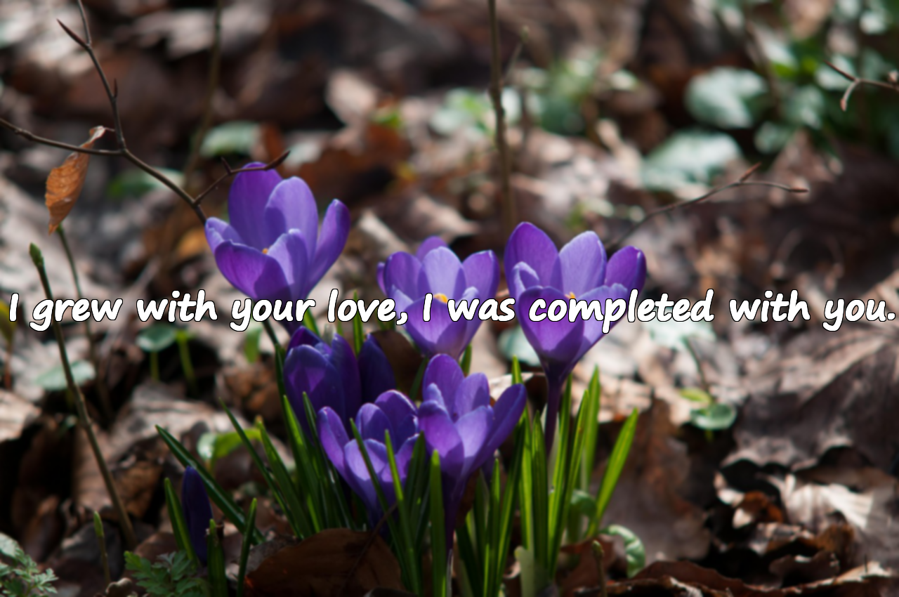 Meaningful Beautiful Words for Spouses