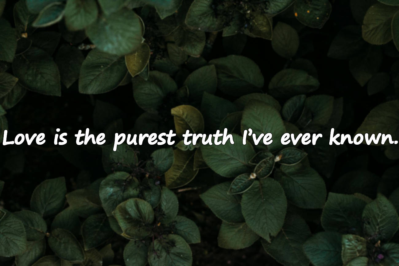 Meaningful Love Quotes