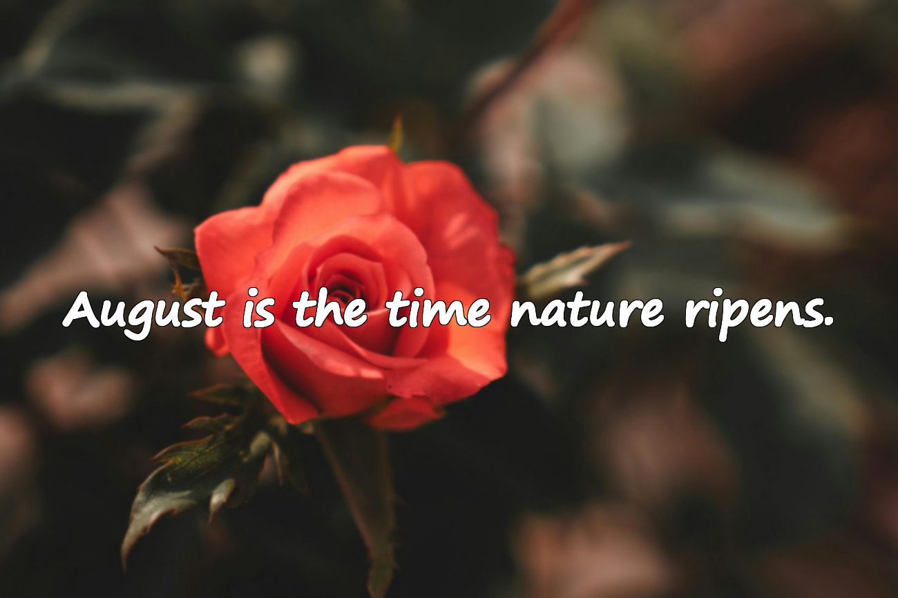 Meaningful Quotes About August