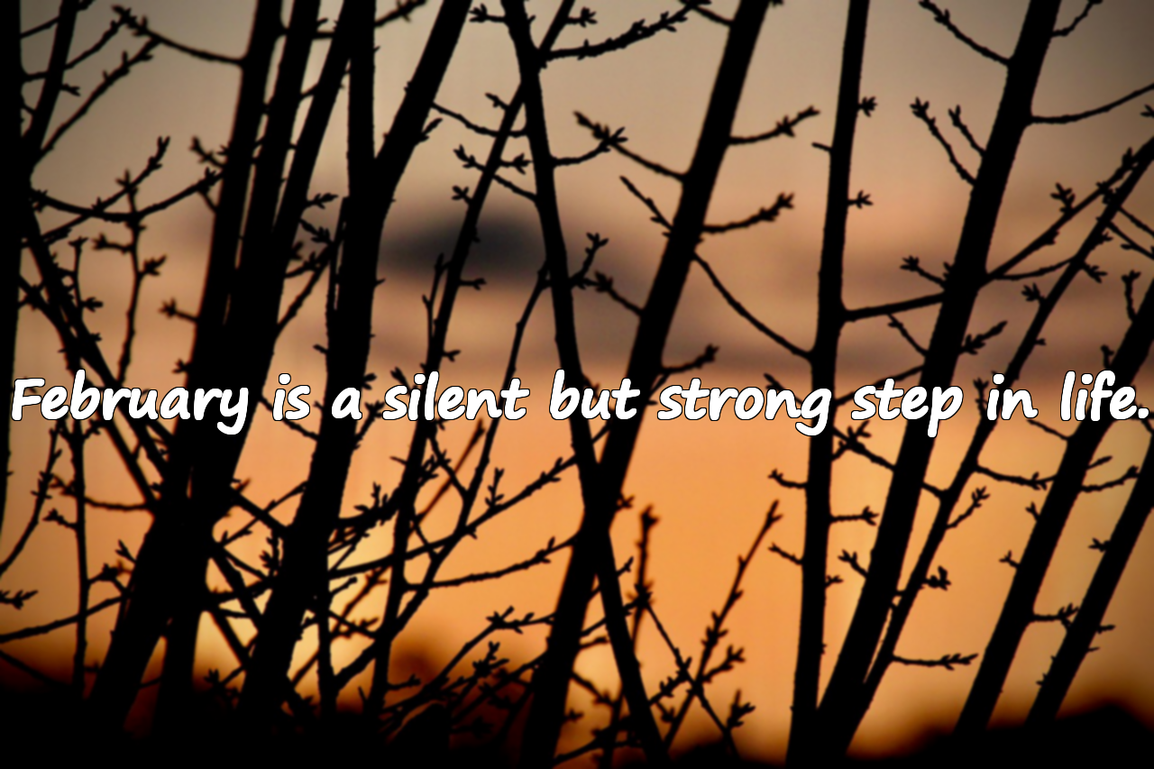 Meaningful Quotes About February