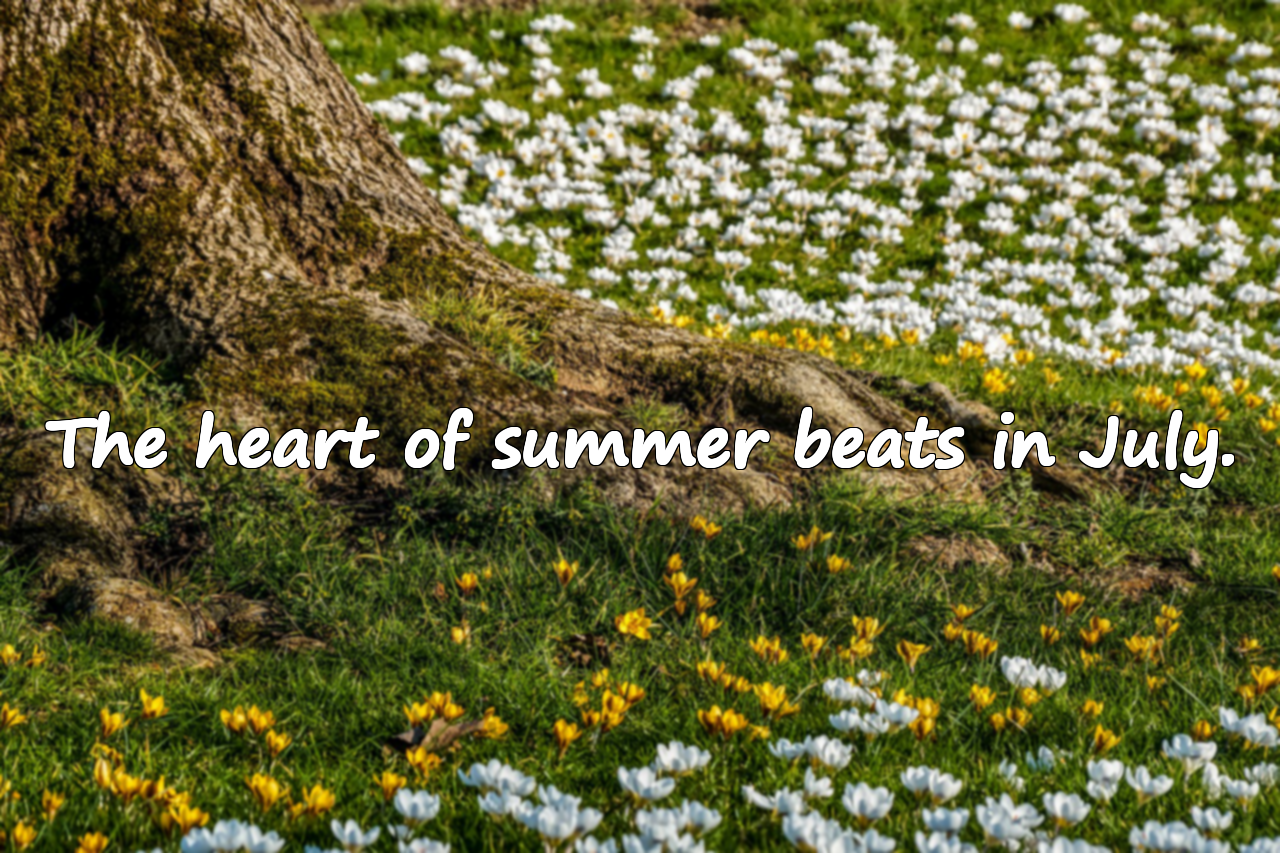 Meaningful Quotes About July