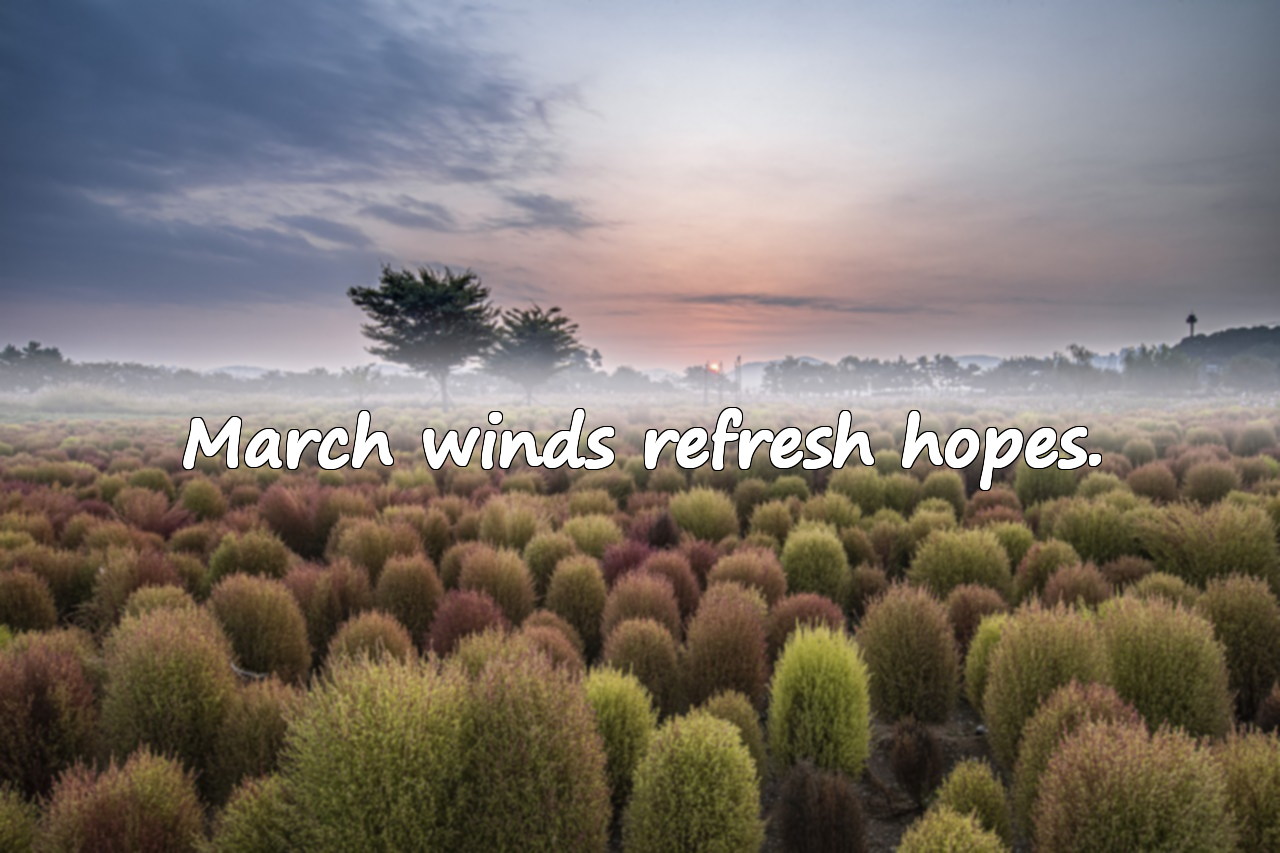 Meaningful Quotes About March
